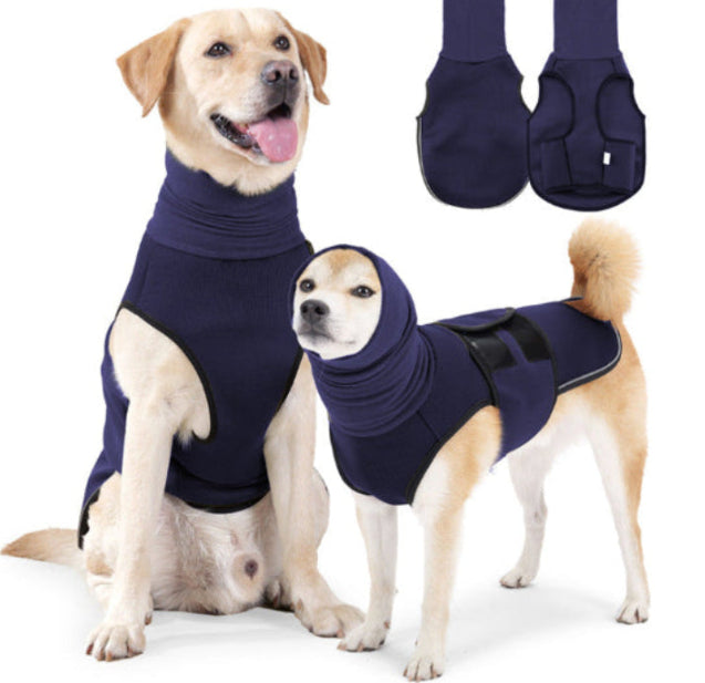 Two dogs wearing navy blue pet coats with a pair of matching mittens on a white background.